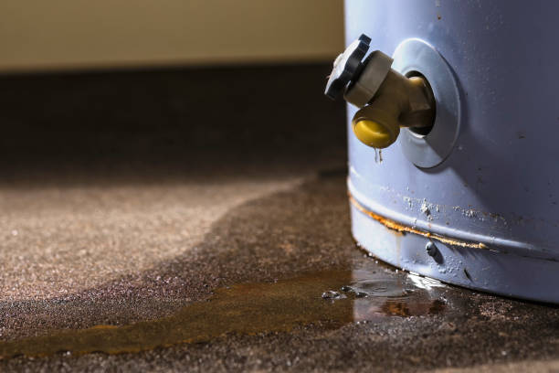 Best Water damage restoration near me  in Chevy Chase Heights, PA