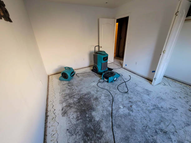 Best Water damage contractors near me  in Chevy Chase Heights, PA