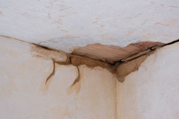 Best Water damage cleanup near me  in Chevy Chase Heights, PA