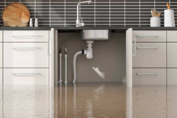 Best Local water damage restoration  in Chevy Chase Heights, PA