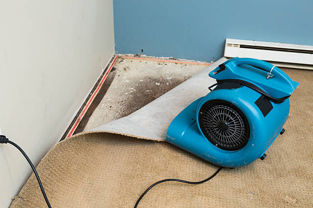 Best Flood damage cleanup  in Chevy Chase Heights, PA